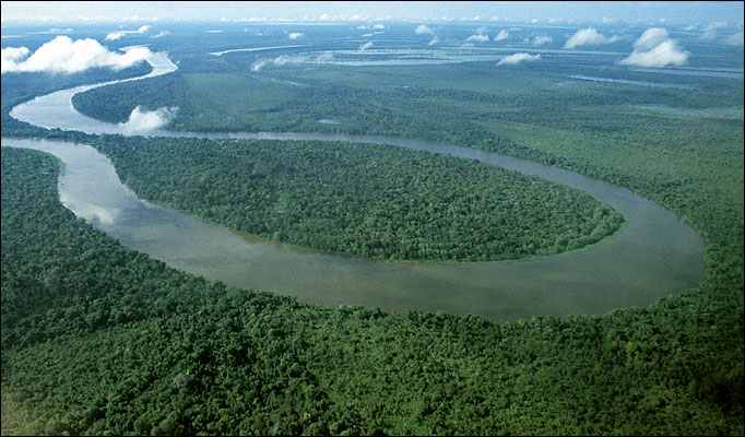 Amazon-river