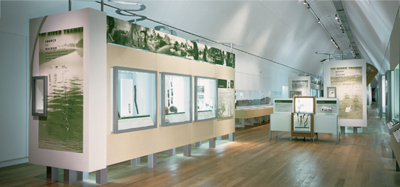 The River and Rowing Museum