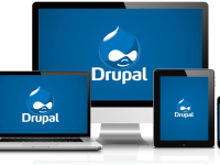 The Features that Make the Latest Drupal Versions Best Suited for Website Designing