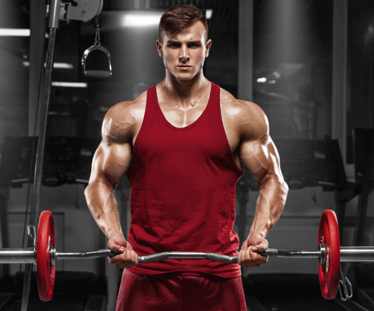 Supplements That Support Muscle Development And Growth
