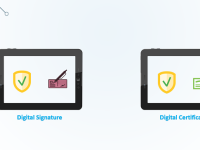 Digital Signatures vs. Digital Certificates: An In-Depth Comparison