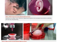 How Science Could Extend Your Life