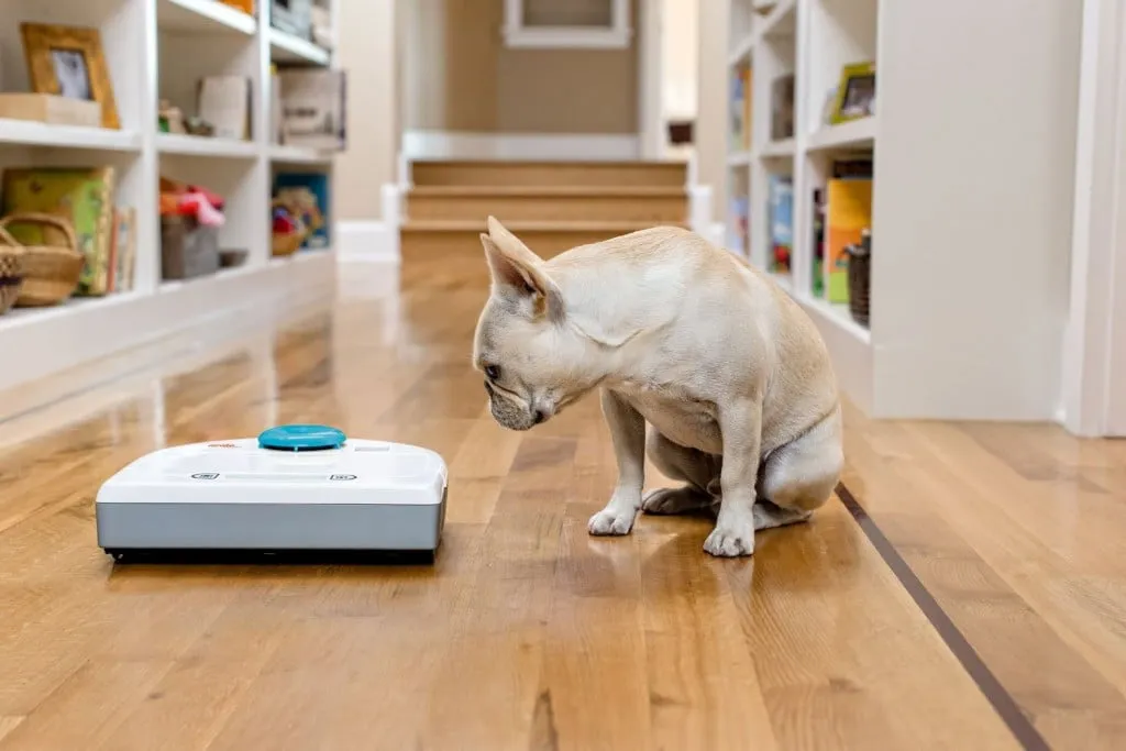 How Robotic Vacuums Work and why You Should Consider a Robotic Vacuum Cleaner