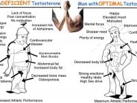 Levels of testosterone as per age – Why this hormone is essential in our body