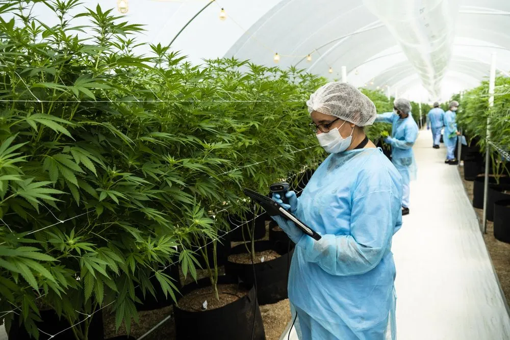 Silverpeak Life Sciences bringing a revolution in the marijuana industry