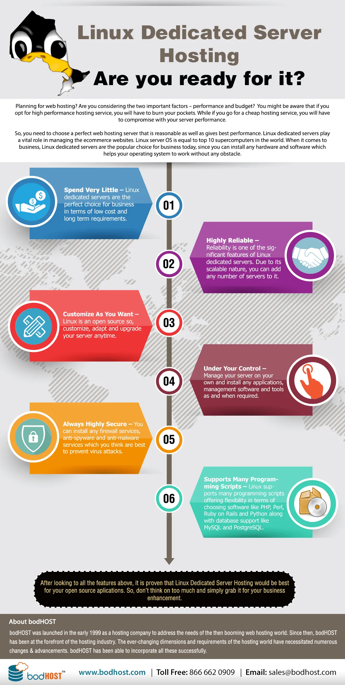 Dedicated Servers Infographic